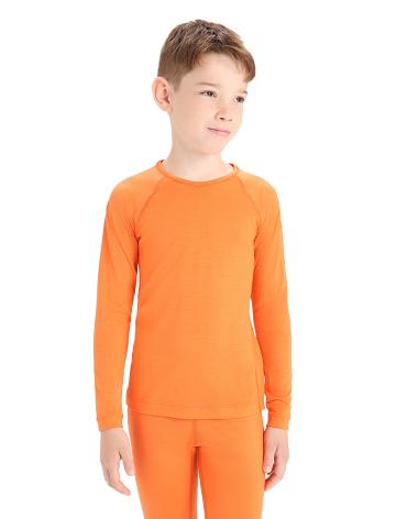 Kids' Icebreaker Merino 200 Oasis Crewe Thermal Top Long Sleeve Flash | CA 1005NWYB